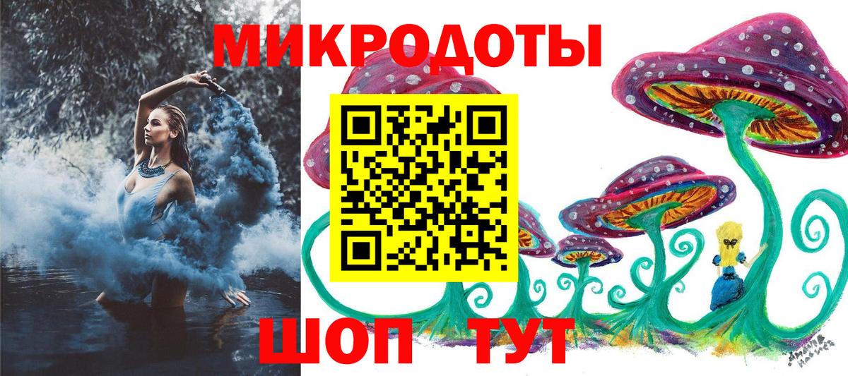 Галлюциногенные грибы Psilocybine cubensis Энгельс