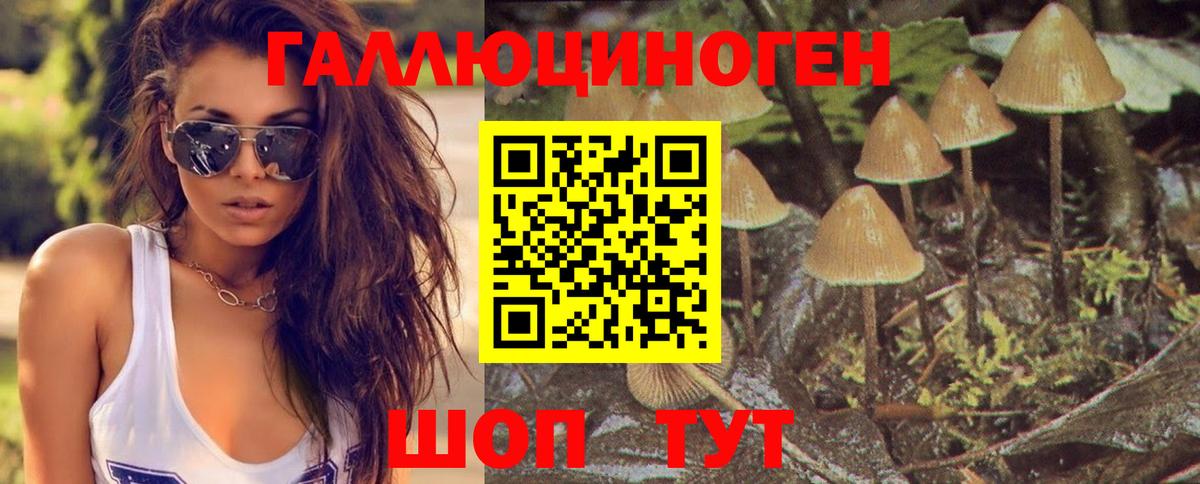 Псилоцибиновые грибы ЛСД  Вход с VPN  Энгельс  Псилоцибиновые грибы мухоморы 